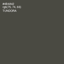 #4B4A42 - Tundora Color Image