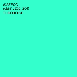 #33FFCC - Turquoise Color Image