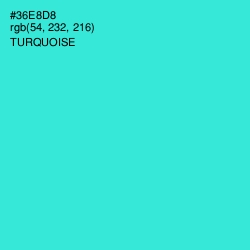 #36E8D8 - Turquoise Color Image