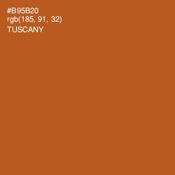 #B95B20 - Tuscany Color Image
