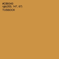 #CB9343 - Tussock Color Image