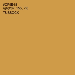 #CF9B48 - Tussock Color Image