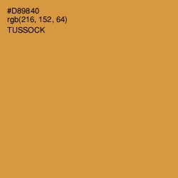 #D89840 - Tussock Color Image