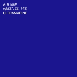 #1B168F - Ultramarine Color Image