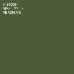 #4B5D39 - Verdigris Color Image
