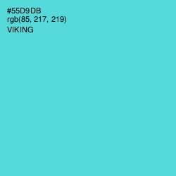 #55D9DB - Viking Color Image