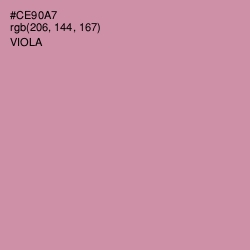 #CE90A7 - Viola Color Image