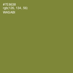 #7E8638 - Wasabi Color Image