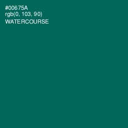 #00675A - Watercourse Color Image