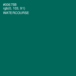 #00675B - Watercourse Color Image