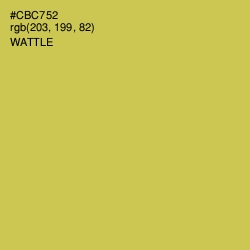 #CBC752 - Wattle Color Image