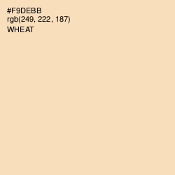 #F9DEBB - Wheat Color Image