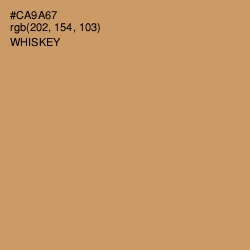 #CA9A67 - Whiskey Color Image