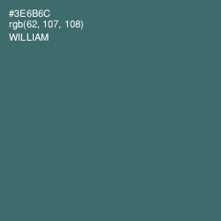 #3E6B6C - William Color Image