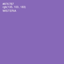 #8767B7 - Wisteria Color Image
