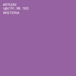 #9762A2 - Wisteria Color Image