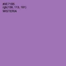 #9E71B5 - Wisteria Color Image