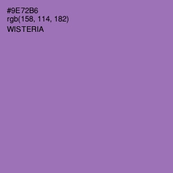 #9E72B6 - Wisteria Color Image