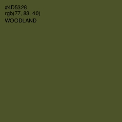 #4D5328 - Woodland Color Image