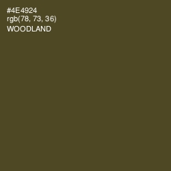 #4E4924 - Woodland Color Image