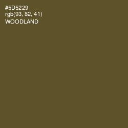 #5D5229 - Woodland Color Image
