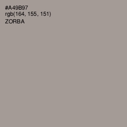 #A49B97 - Zorba Color Image