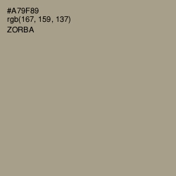 #A79F89 - Zorba Color Image