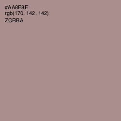 #AA8E8E - Zorba Color Image