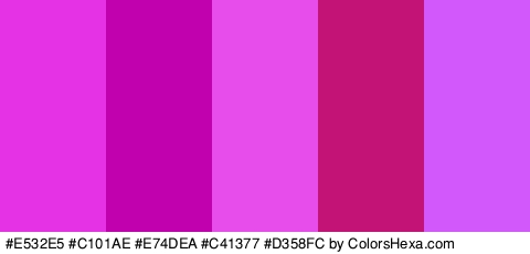 #E532E5 #C101AE #E74DEA #C41377 #D358FC Colors Logo