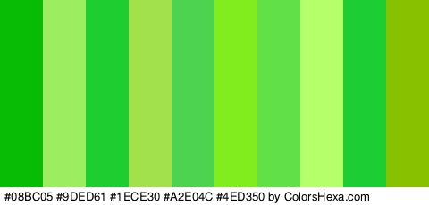 #08BC05 #9DED61 #1ECE30 #A2E04C #4ED350 #82ED1E #61E047 #B5FF6B #1CCE34 #87C100 Colors Logo